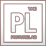 The Picture Lab